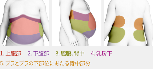 허쉬성형외과 코라인