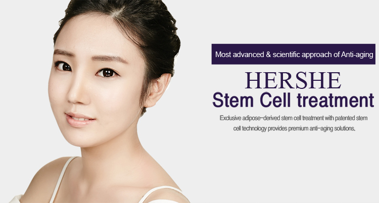 О стволовых клетках